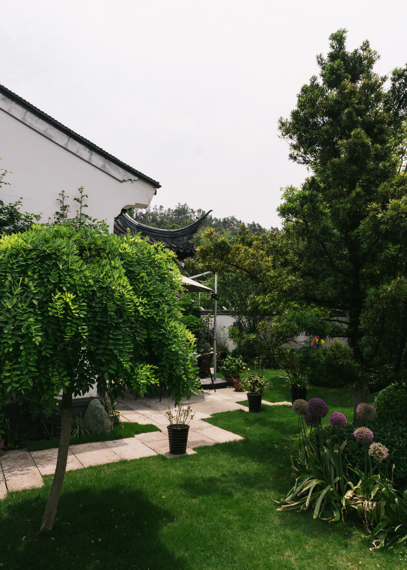 ly house